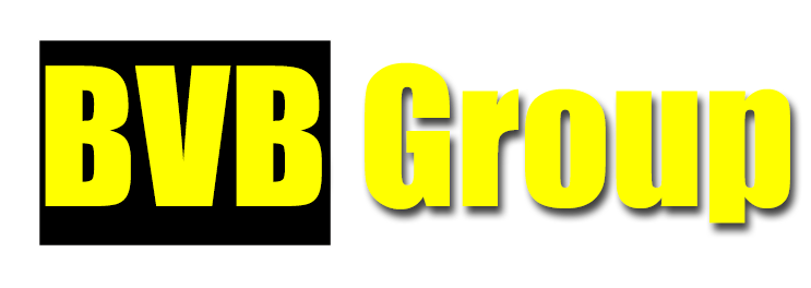 BVB Group